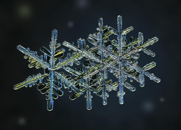 An amazing macro image of a snowflake. (Valeriya Zvereva/CATERS NEWS) 