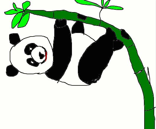 A panda stuck on a bamboo tree. Drawing by Ahmad Ali Karim.