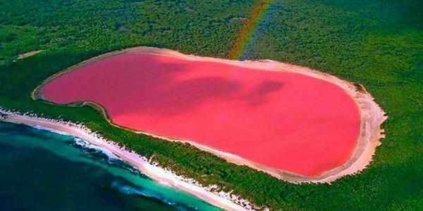 Lake Hillier - Western Australia Unlike many other pink waters around the world, Lake Hillier contains bright pink water that actually remains pink when transferred to a container. Most similar lakes get their colour from a mixture of beta-carotene released by algae and light penetrating the water, but there’s currently no scientific explanation as to why Lake Hillier is pink. 