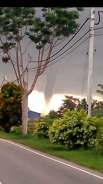 Photos and Videos: Tornado Hits Pendang, Kedah (Puting Beliung Melanda Pendang) (4/6)