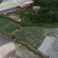 A picture of a farm taken from the hotel room.